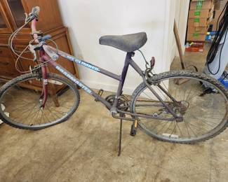 Roadmaster USA Mt. Climber 10-Speed