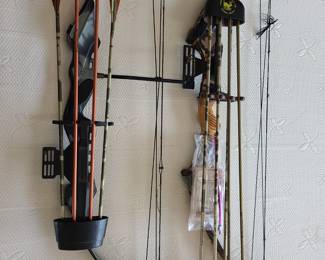 Compound Bows: Adult and Youth