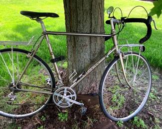 Schwinn Super Sport 15 Gear Bike