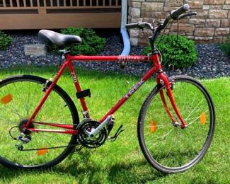 Trek Multitrack 21 Gear Bike