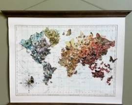 Butterfly map of the world