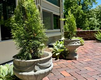 SOLD Draped concrete urn with tree (2 available)- 14x17