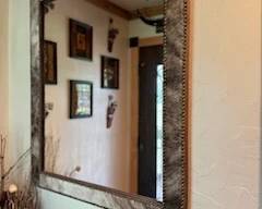 Hide Skin entry mirror