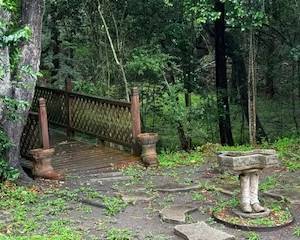 Outdoor pots and bird baths