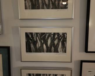 Jenny Kristner, Evolving Trees 1, 2 and 3