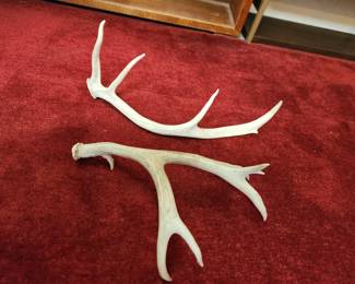 Antlers