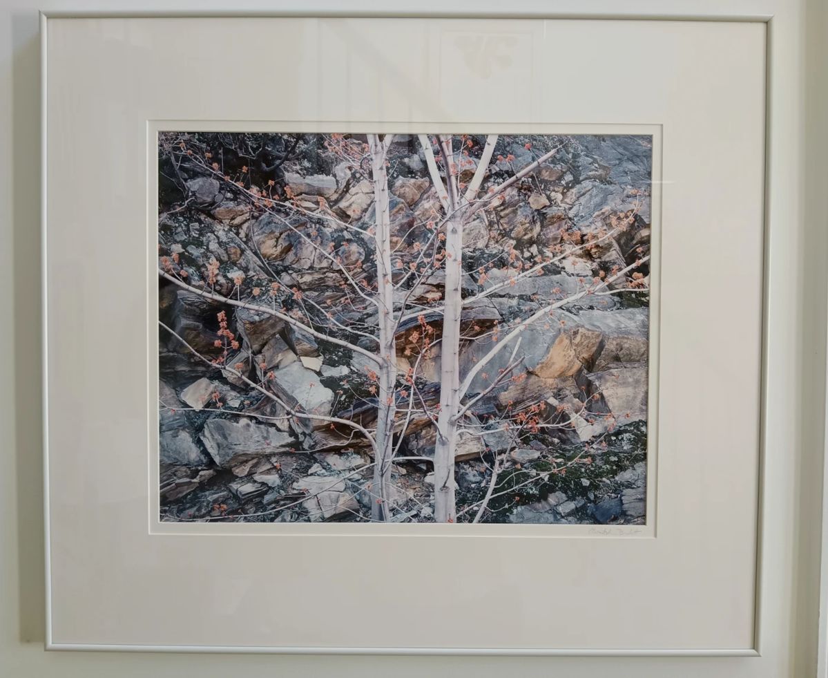 Sunday Discount Day Willow Tree Estate... starts on 6/22/2024