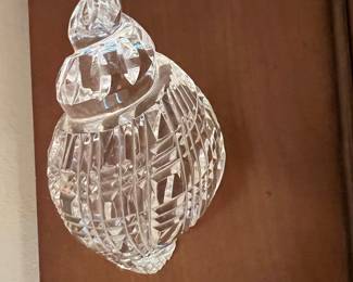 Waterford conch shell