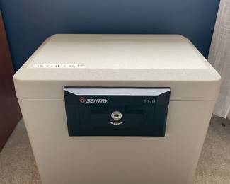 	#49	Sentry 1170 Fire Safe w/key	15.5x11x13		30.00																							