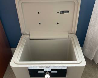	#49	Sentry 1170 Fire Safe w/key	15.5x11x13		30.00																							