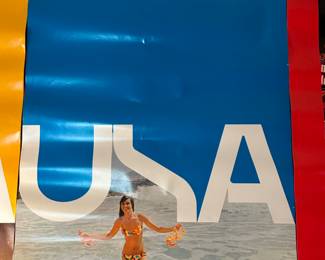 Vintage Braniff Poster