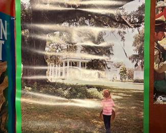 Vintage Braniff Poster