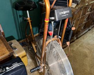 Schwinn Airdyne
