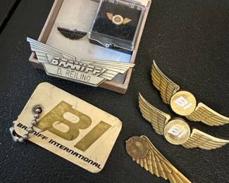 Vintage Braniff winged pins