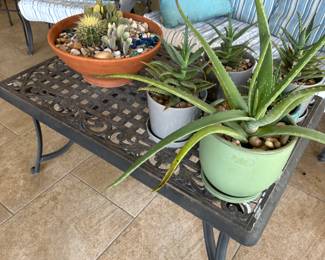 Patio Set by Martha Stewart & plants