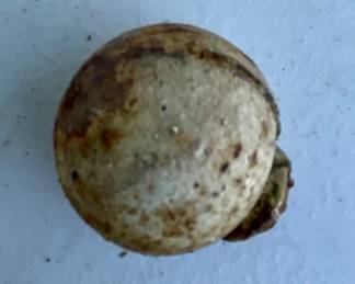 ANTIQUE WROUGHT IRON CLOTHING RACK DISPLAY (ONE BALL FOOT NEEDS TO BE WELDED ON THE RIGHT REAR)