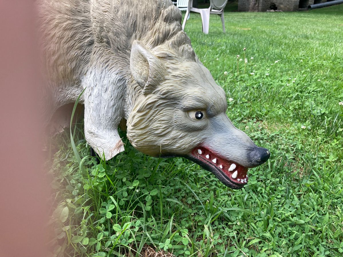 Fantastic Estate Sale on the Little Miami River starts on 6/13/2024