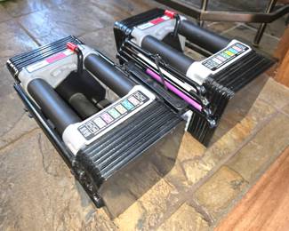 PowerBlock Personal Weight Trainer Set