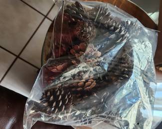 pine cones for crafts