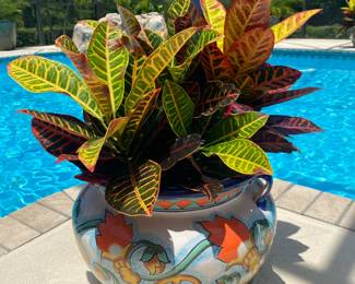 #44- $100 - Mexican planter 15x14