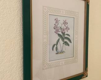 #69C - $50 - One of 4 Botanical prints green frame x4 - 23x27