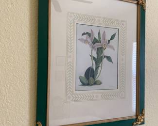 #69B - $50 - One of 4 Botanical prints green frame x4 - 23x27