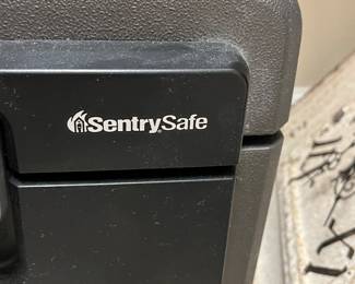 $42 Sentry Safe 16 x13 x 14