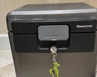 $42 Sentry Safe 16 x13 x 14