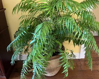 $60 Clay Pot 19 rd 19H