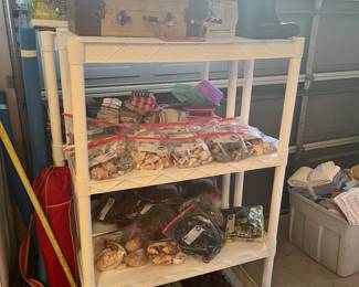 Sea Shells - Holiday - Miscellaneous