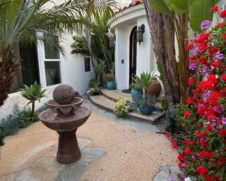 Plants and Succulents in Pots