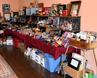 Living Room Overview