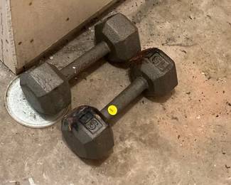 2 15 LB DUMBBELLS