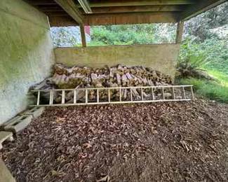 Large Commercial Werner Ladder