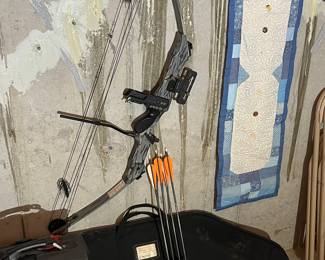 Hoyt “Alpine” compound bow with quiver/arrows.