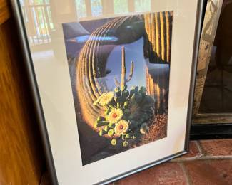Framed & Matted Cactus Photography by Richard Childs