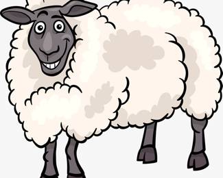 Modest Lamb Estate Sales. Wool do the work for you. 