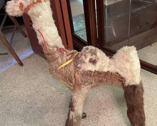 Furry camel. All intact and 30 “ tall