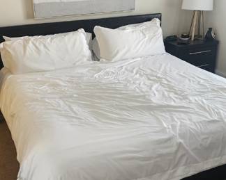 Queen bed frame with mattress/boxspring