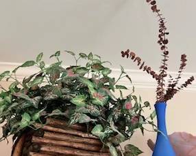 PLANT/WOOD PLANTER SOLD - STILLONE REMAINING OF THOSE. ETCHED BLUE VASE STILL AVAILABLE Some decorative stuff - vase is etched blue, wood stacked planter comes with striated artificial ivy plant. There are two of these.