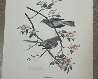 A huge drawer full of bird and animal prints.