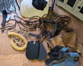 Horse Tack, Bridle, Reins, etc