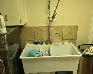 Laundry Room double sink & spray hose.