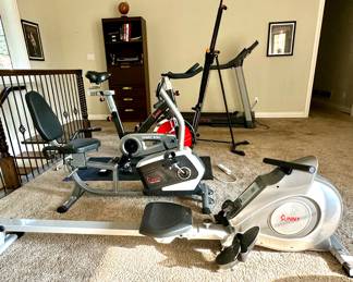 Sunny Rower and Recumbent Bike