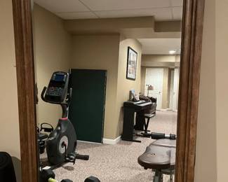 45. Beveled Mirror w/ Wood Frame