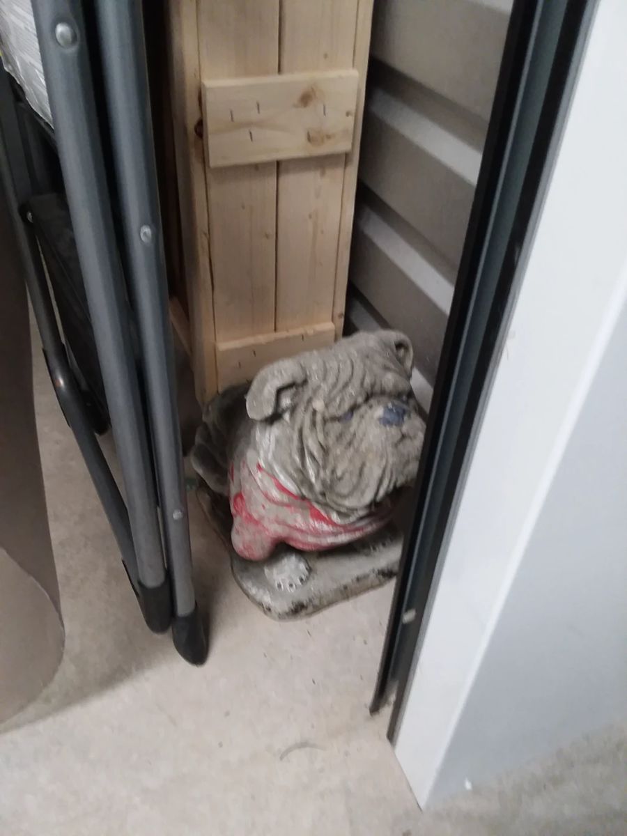 U of Georgia stone bull dog