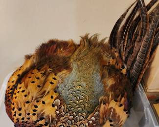 Pheasant skins