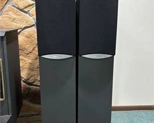Bose Tower Speakers 