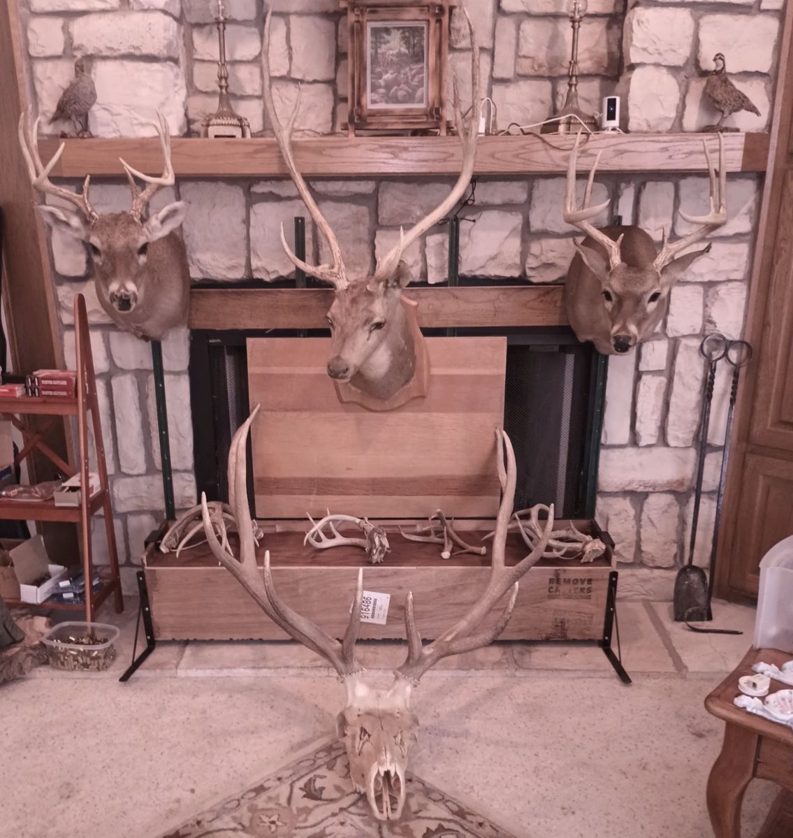 Estate Sale in Kings Park in Lubbock, TX starts on 6/14/2024