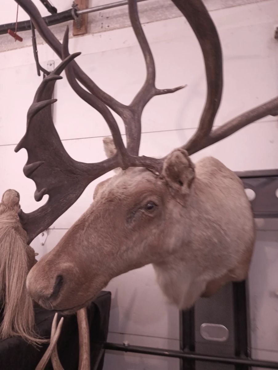 Estate Sale in Kings Park in Lubbock, TX starts on 6/14/2024